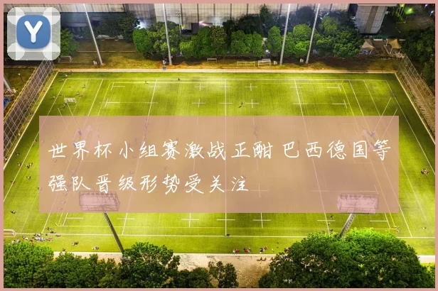 世界杯小组赛激战正酣 巴西德国等强队晋级形势受关注