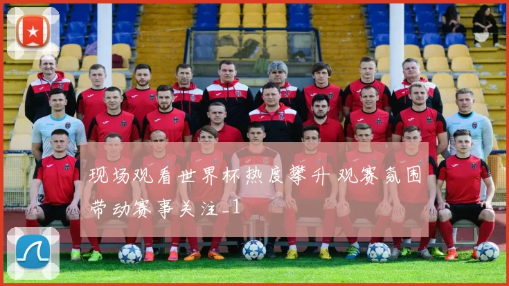 现场观看世界杯热度攀升 观赛氛围带动赛事关注_1