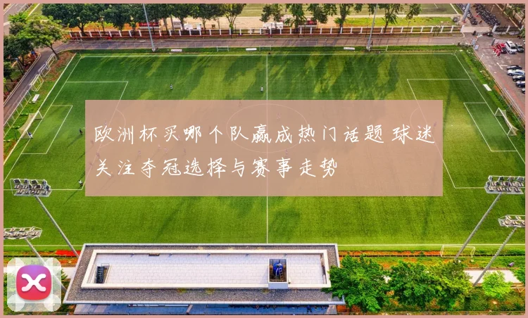 欧洲杯买哪个队赢成热门话题 球迷关注夺冠选择与赛事走势