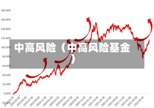 中高风险（中高风险基金）-第3张图片