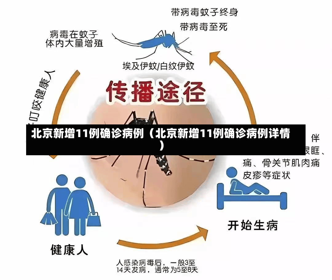 北京新增11例确诊病例（北京新增11例确诊病例详情）-第1张图片