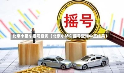 北京小轿车摇号查询（北京小轿车摇号查询中签结果）