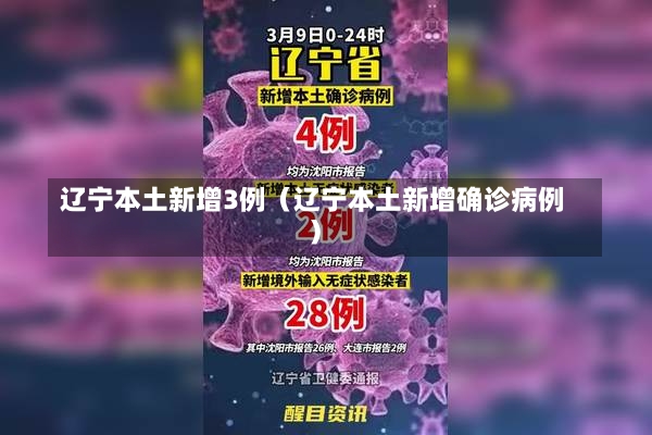 辽宁本土新增3例（辽宁本土新增确诊病例）-第2张图片