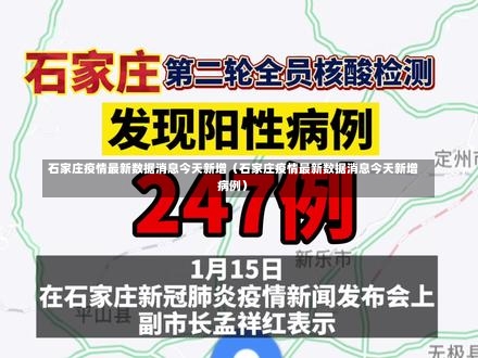 石家庄疫情最新数据消息今天新增（石家庄疫情最新数据消息今天新增病例）-第2张图片