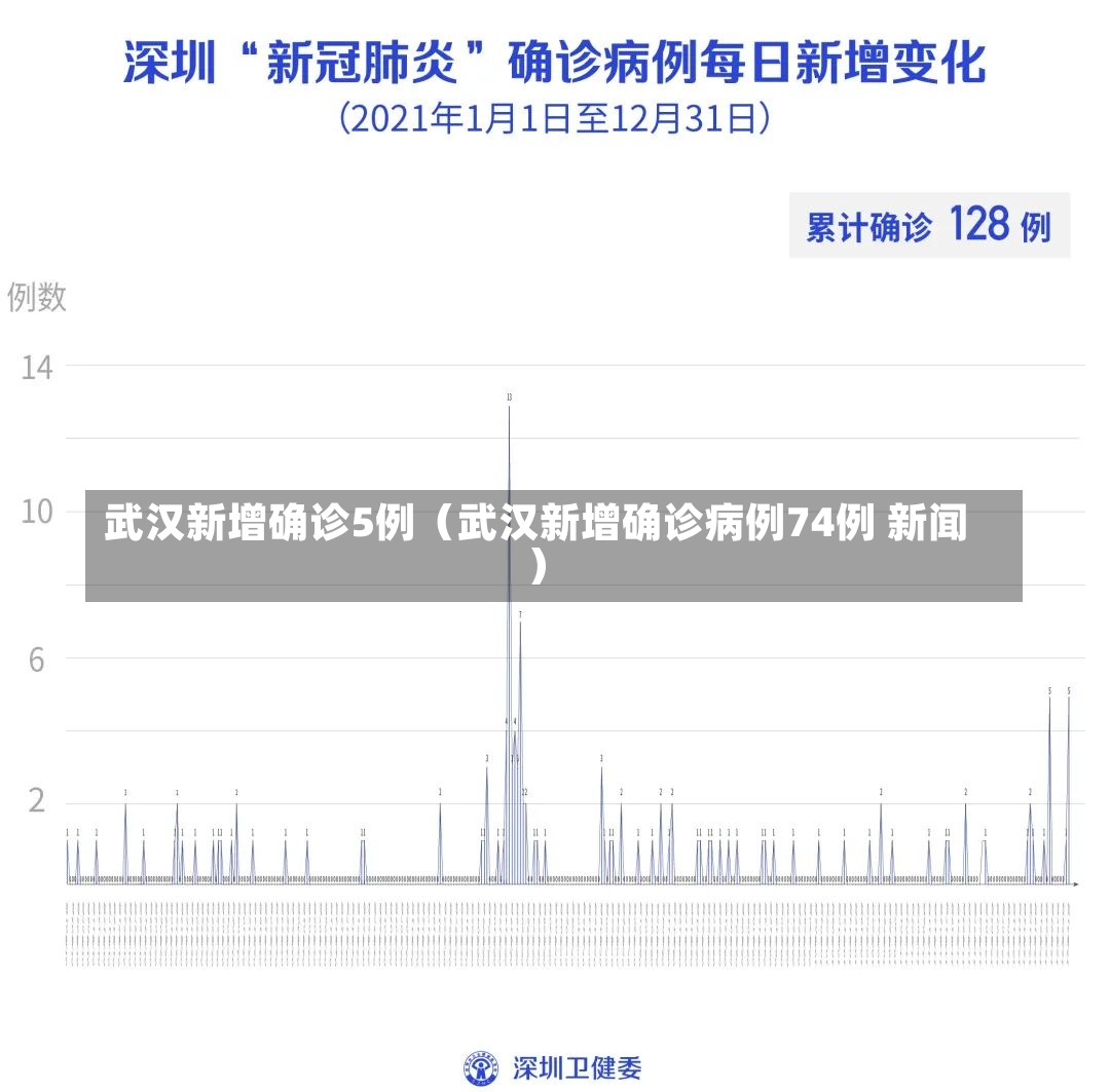 武汉新增确诊5例（武汉新增确诊病例74例 新闻）-第1张图片