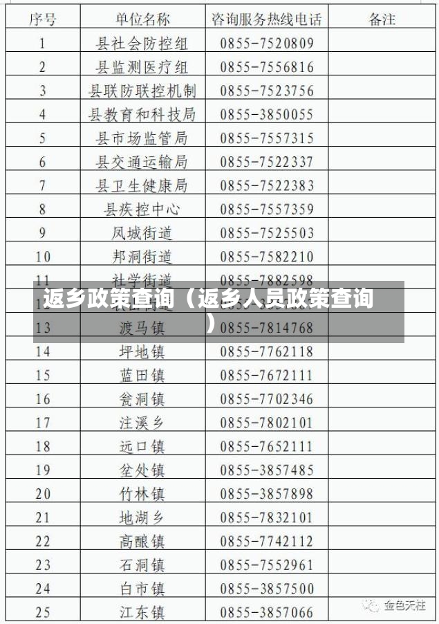 返乡政策查询（返乡人员政策查询）-第3张图片