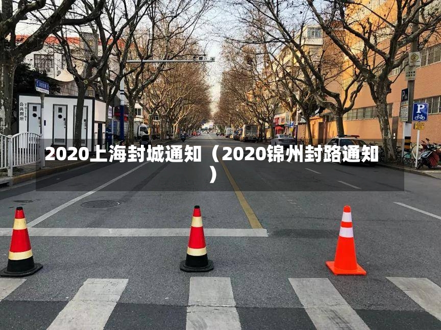 2020上海封城通知（2020锦州封路通知）-第3张图片