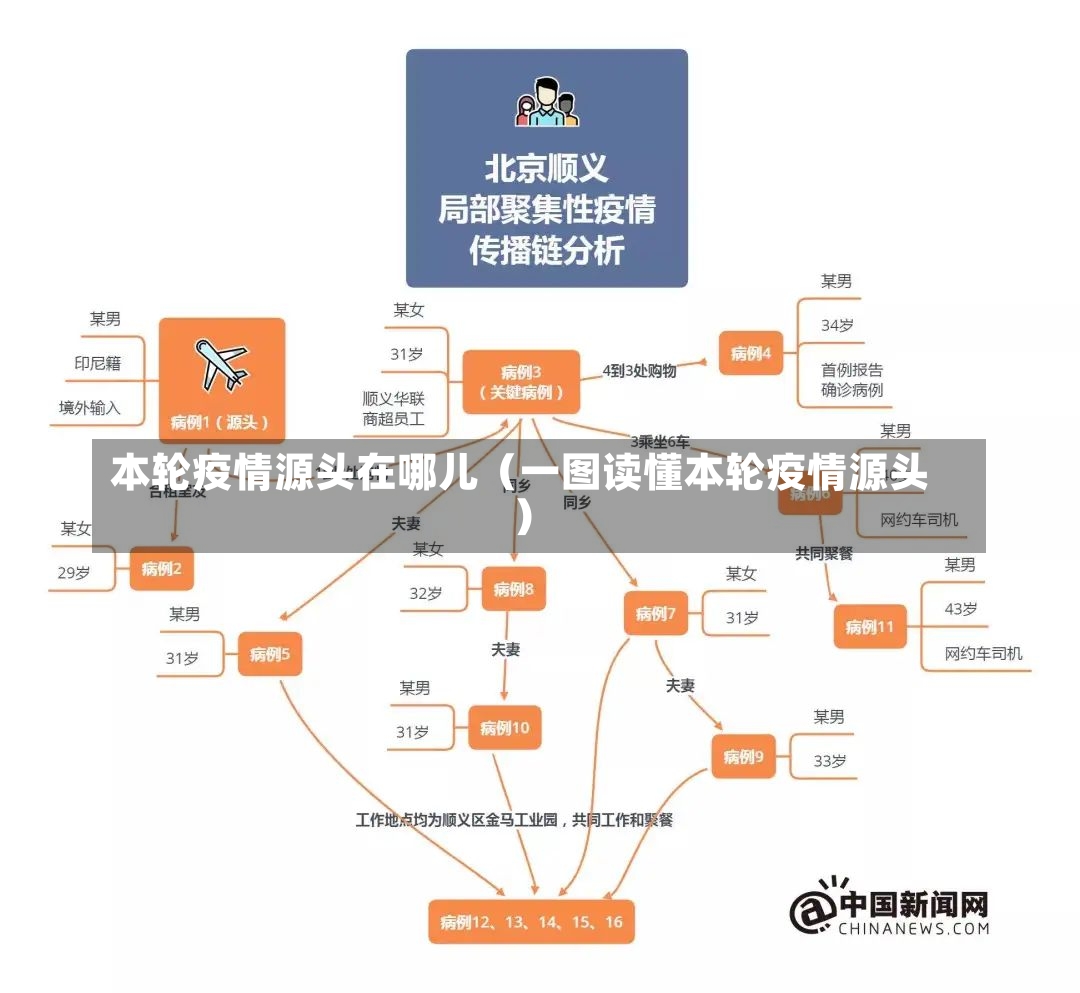 本轮疫情源头在哪儿（一图读懂本轮疫情源头）-第3张图片