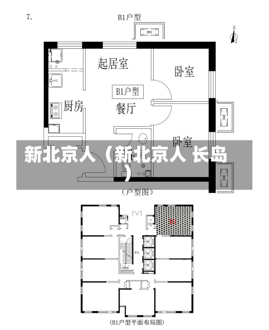 新北京人（新北京人 长岛）-第1张图片