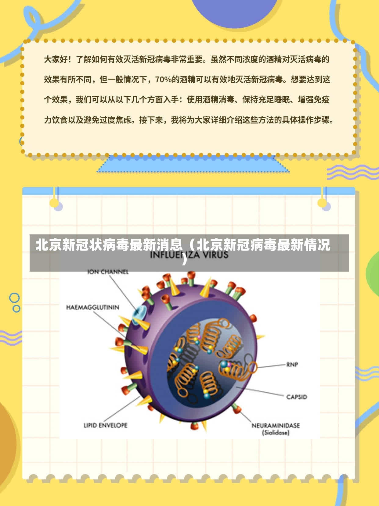 北京新冠状病毒最新消息（北京新冠病毒最新情况）-第1张图片