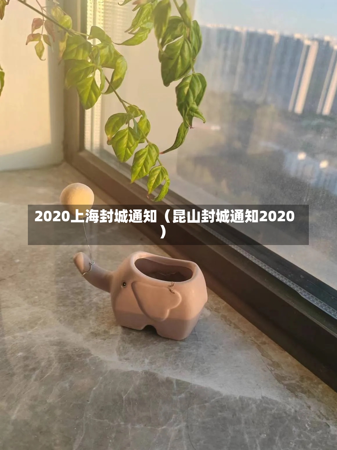 2020上海封城通知（昆山封城通知2020）-第1张图片