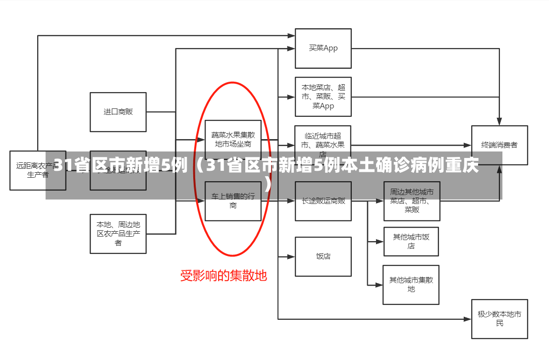 31省区市新增5例（31省区市新增5例本土确诊病例重庆）