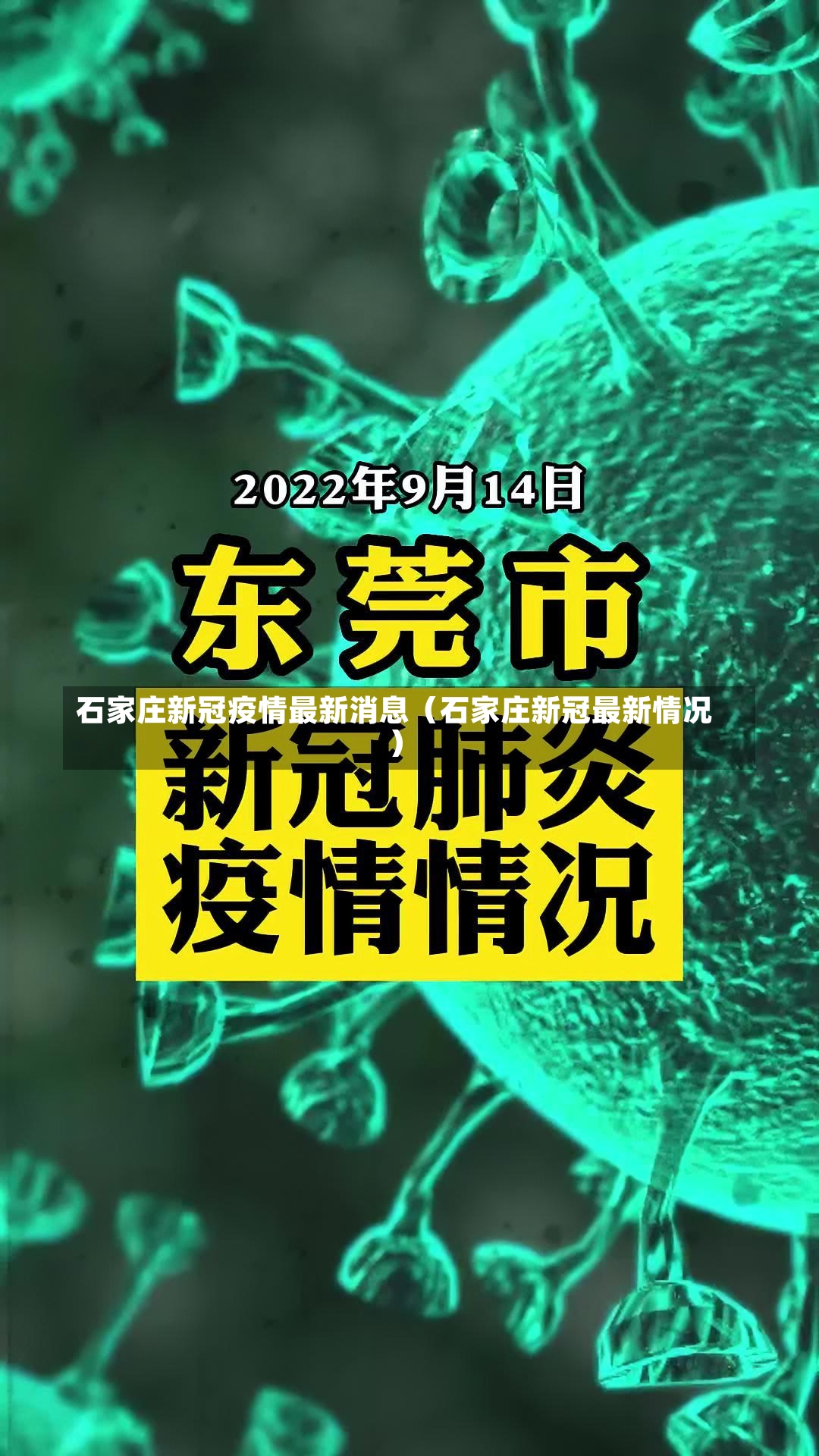 石家庄新冠疫情最新消息（石家庄新冠最新情况）-第3张图片