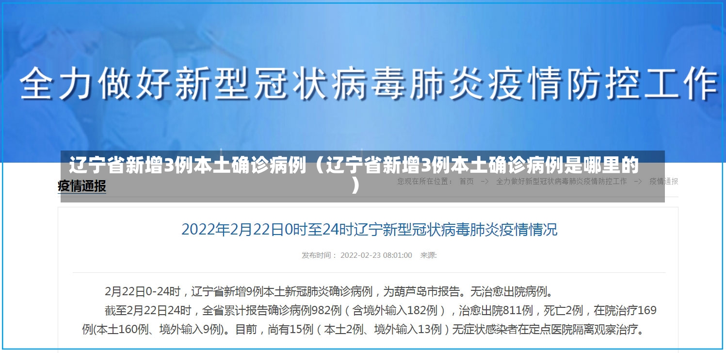 辽宁省新增3例本土确诊病例（辽宁省新增3例本土确诊病例是哪里的）