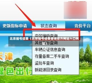 北京摇号结果（北京摇号结果查询官方网站入口网址）